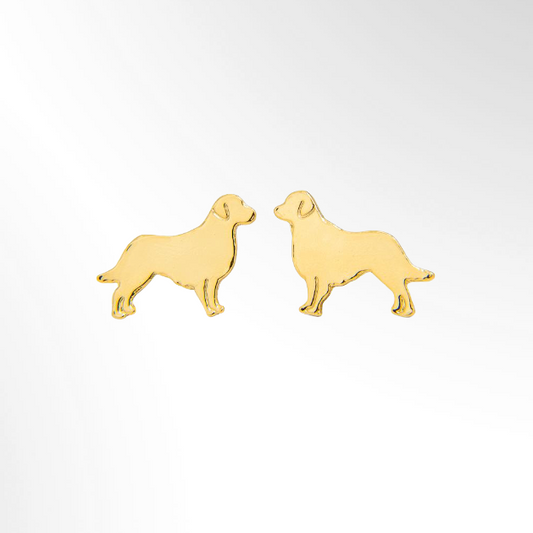 Aretes de Golden (Cuerpo)